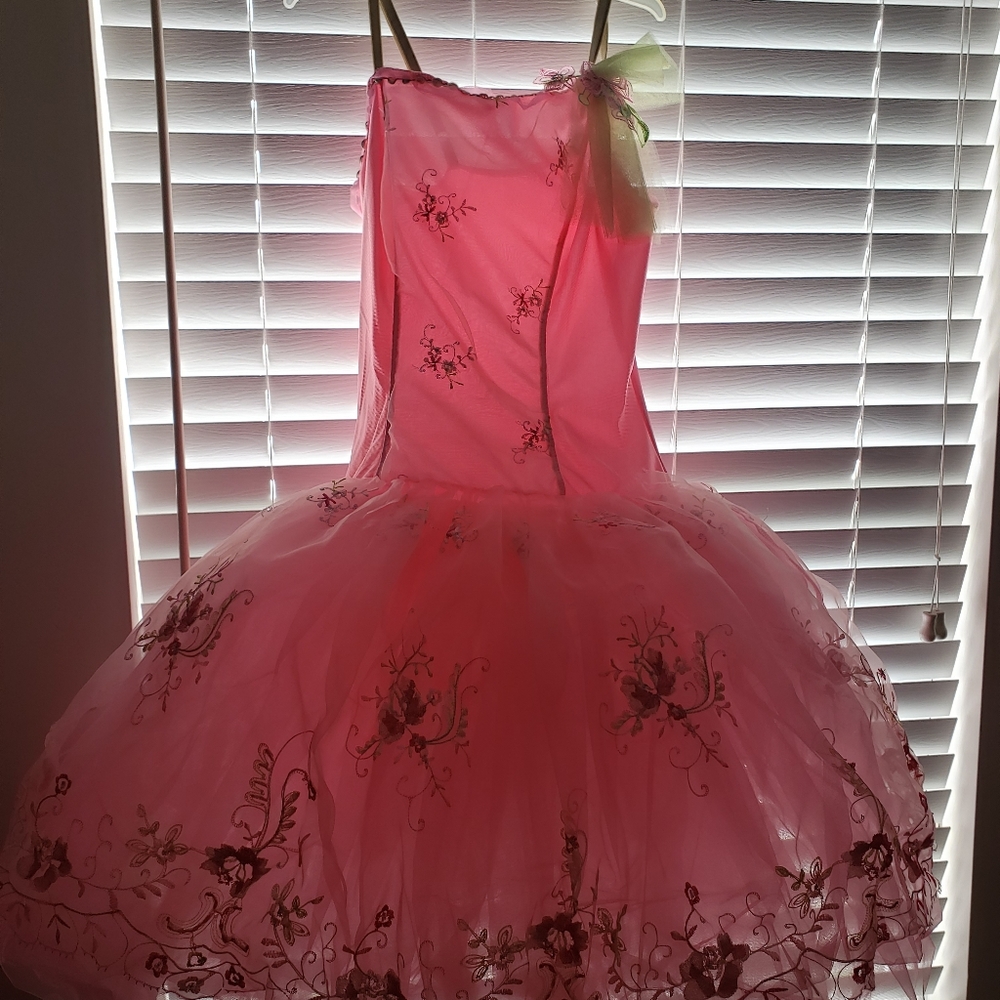 Size 12 Child Pink Dance Tutu